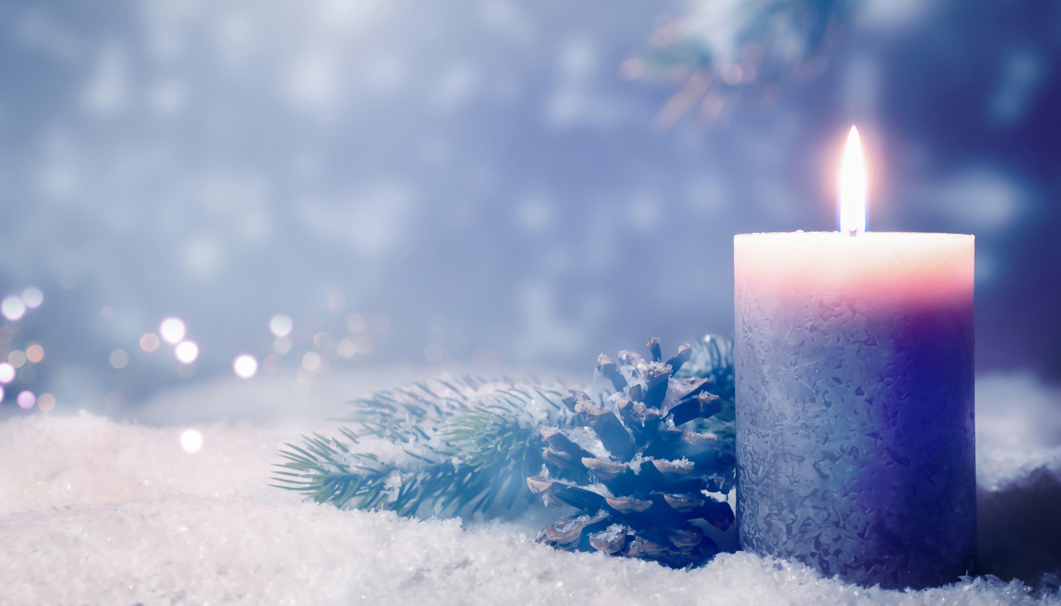 stock photo of candle and snowy pine cone