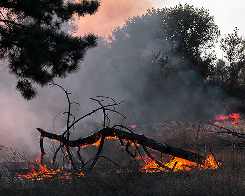 wildfire stock photo from ADRA