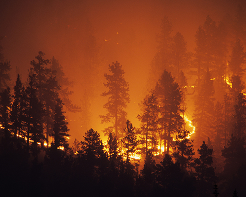 wildfire stock photo   