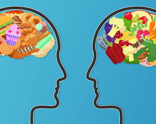 stock photo healthy brain food versus junk food