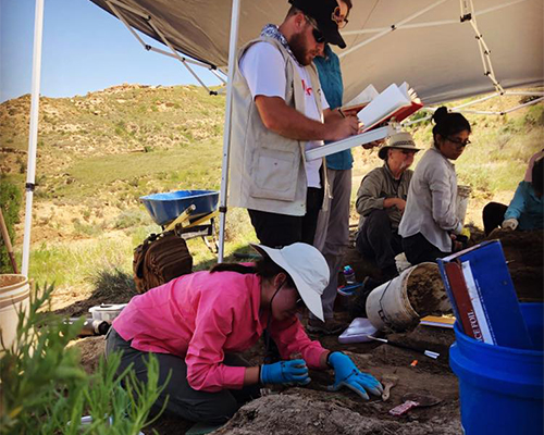 Participants of the Dinosaur Research Project work on a dig site