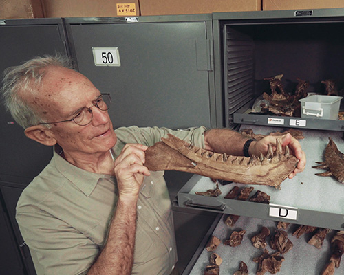 Man holding a fossilized dinosaur jaw bone