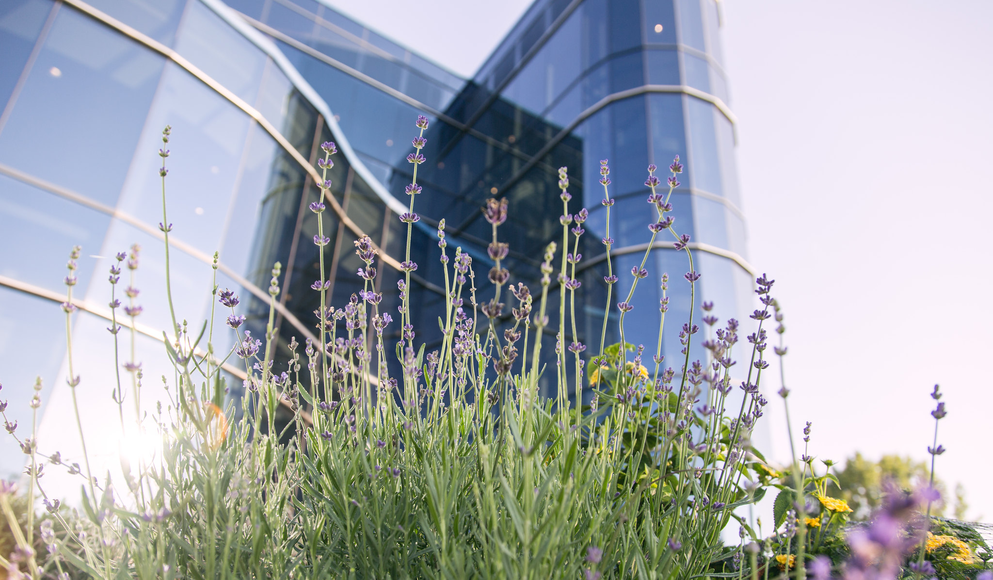 NAD headquarters building photo