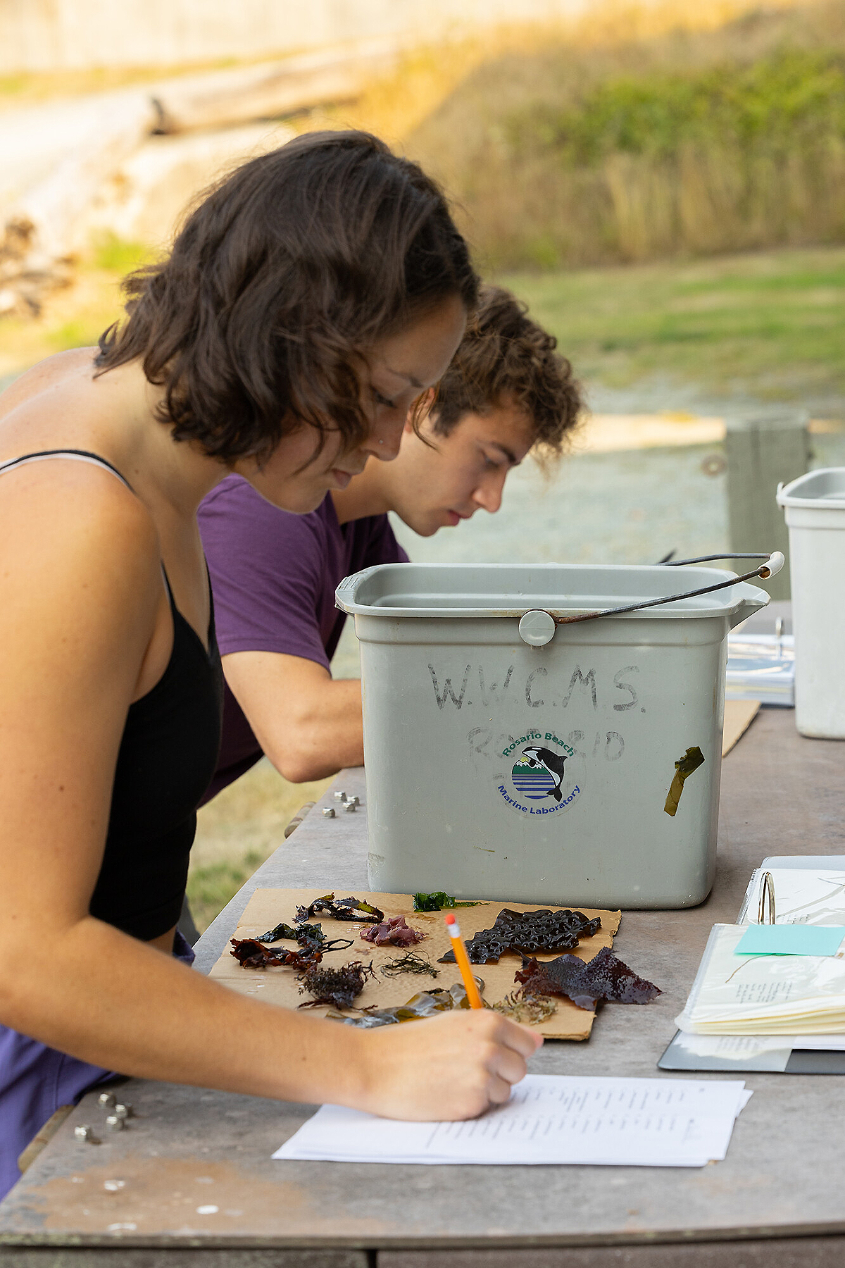 A young woman and man taking notes as they do scientific research outside on a table